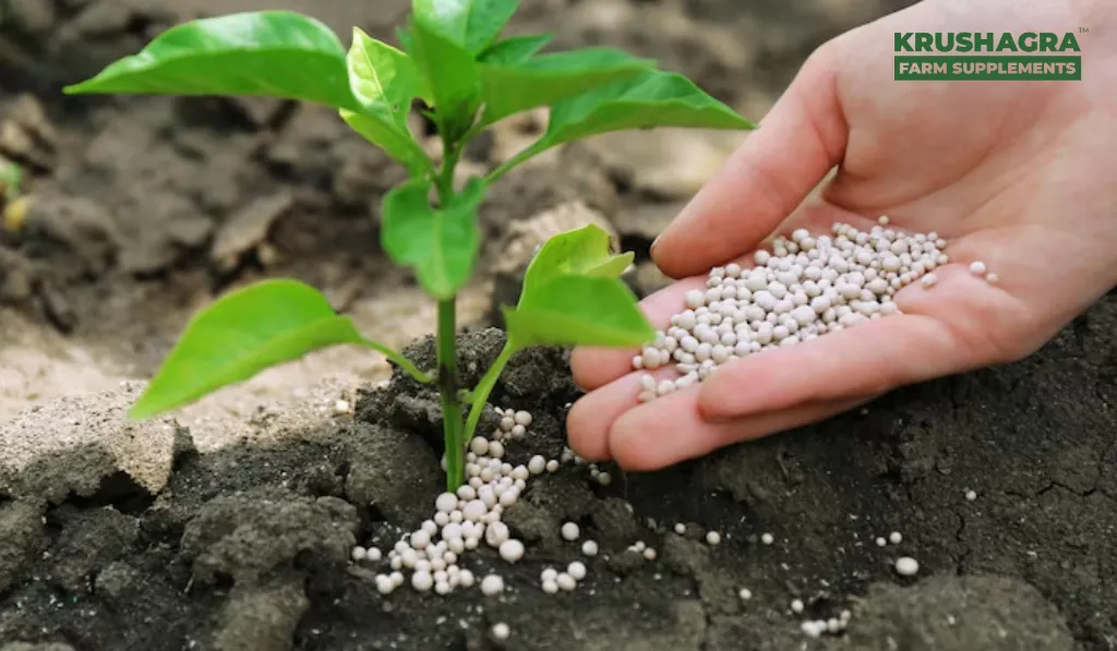 Biofertilizers in Sustainable crop Production