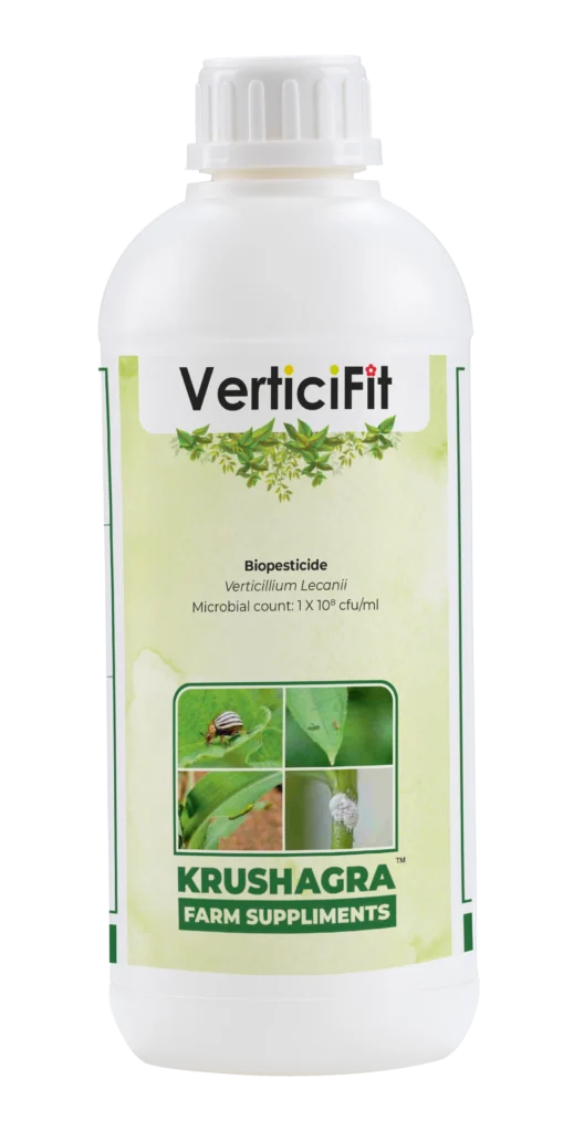 Verticifit