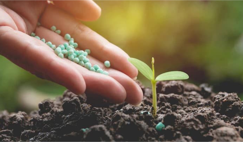 Key benefits of biofertilizers