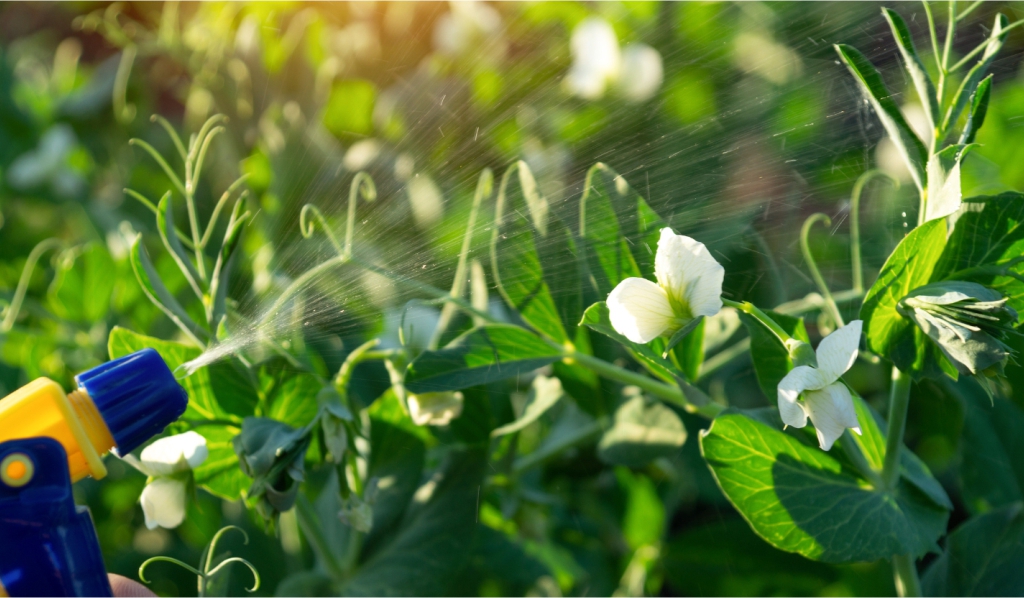 Natural Gardens Safeguarding Pollinator Health in Residential Gardens