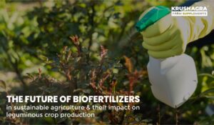 The future of biofertilizers in sustainable agriculture and their impact on leguminous crop production