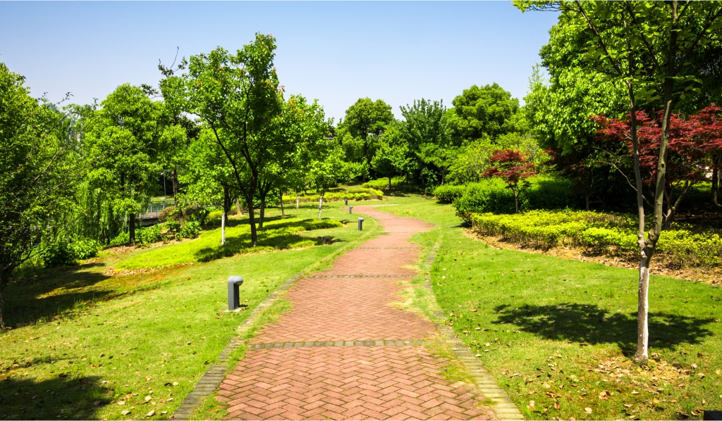 Urban Planning Effective Control of Aphids and Caterpillars