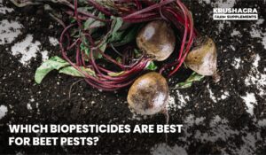 Which Biopesticides Are Best for Beet Pests