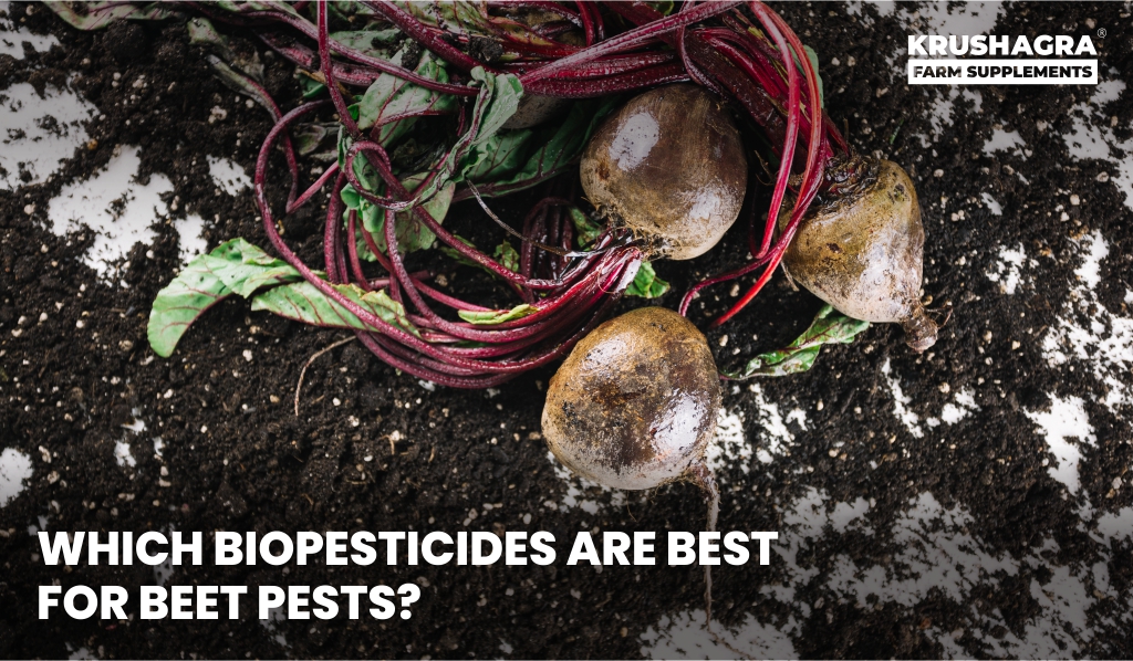 Which Biopesticides Are Best for Beet Pests