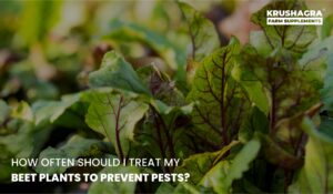 How Often Should I Treat My Beet Plants to Prevent Pests