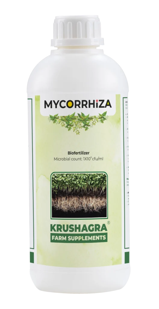 Mycorrhiza (1)
