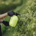 Biopesticides